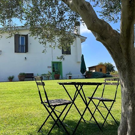 Bed And Breakfast Country Cottage ชิวิตาเวกเกีย ภายนอก รูปภาพ